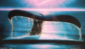 WYLAND, WHALE TAIL, SIGNED & L