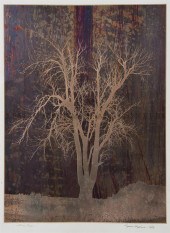 Wynn Hopkins (20th century) We