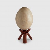 Y EGG OF AN ELEPHANT BIRD, AEP