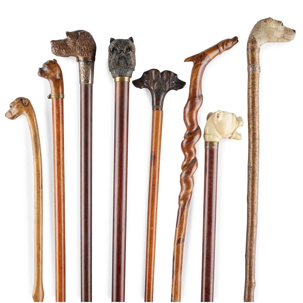 Y GROUP OF EIGHT DOG HEAD WALKING