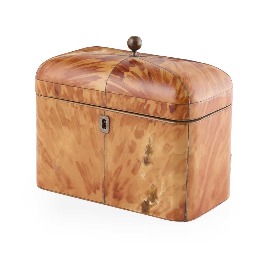 Y REGENCY BLONDE TORTOISESHELL
