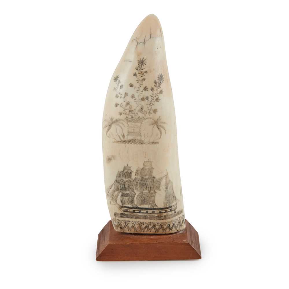 Y SCRIMSHAW WHALE'S TOOTH 19TH
