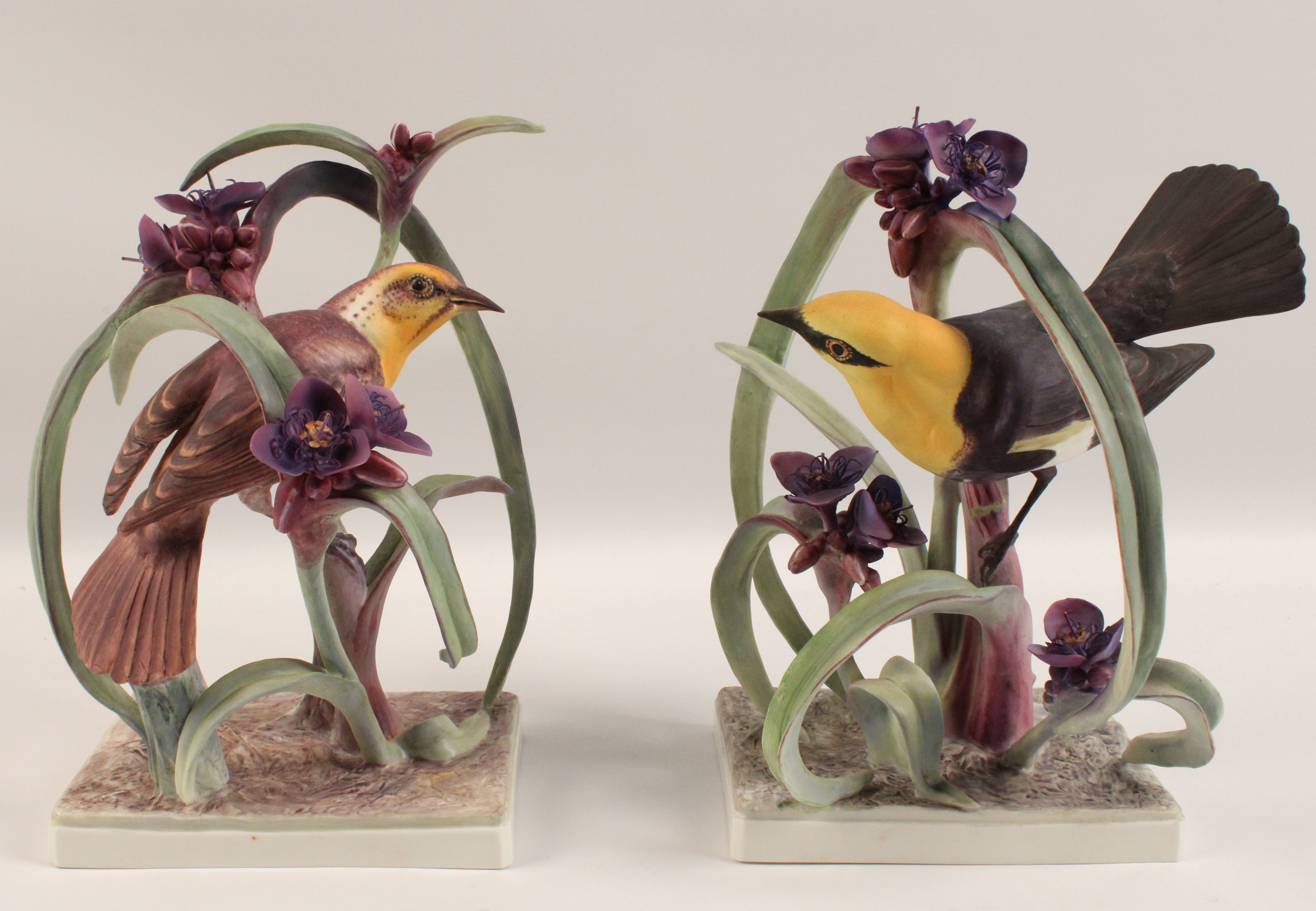 YELLOW HEADED BLACK BIRDS BY