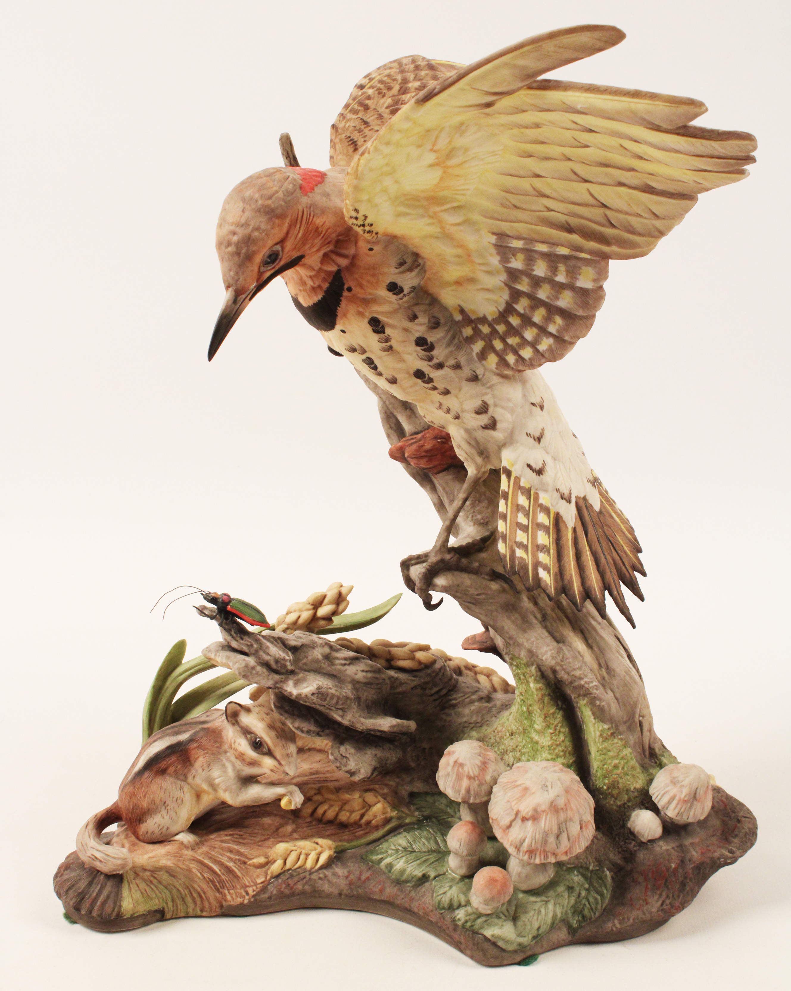YELLOW SHAFTED FLICKER WITH