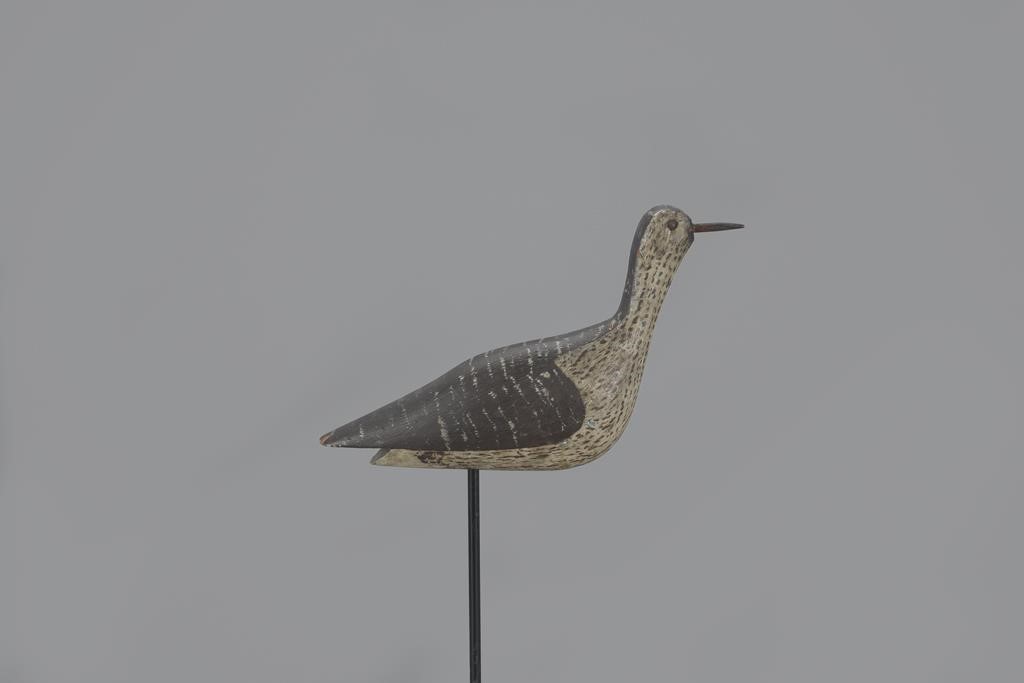 YELLOWLEGSMassachusetts, c. 1900 10