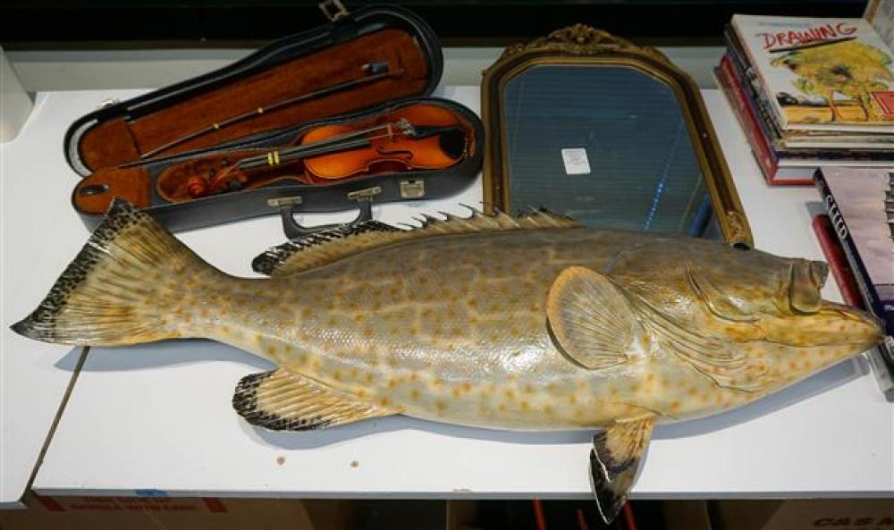 YOUTH VIOLIN, A BASS AND