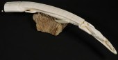 YU'PIK ESKIMO CRIBBAGE BOARD F