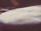 YUTAKA OHASHI, (JAPANESE/AMERI