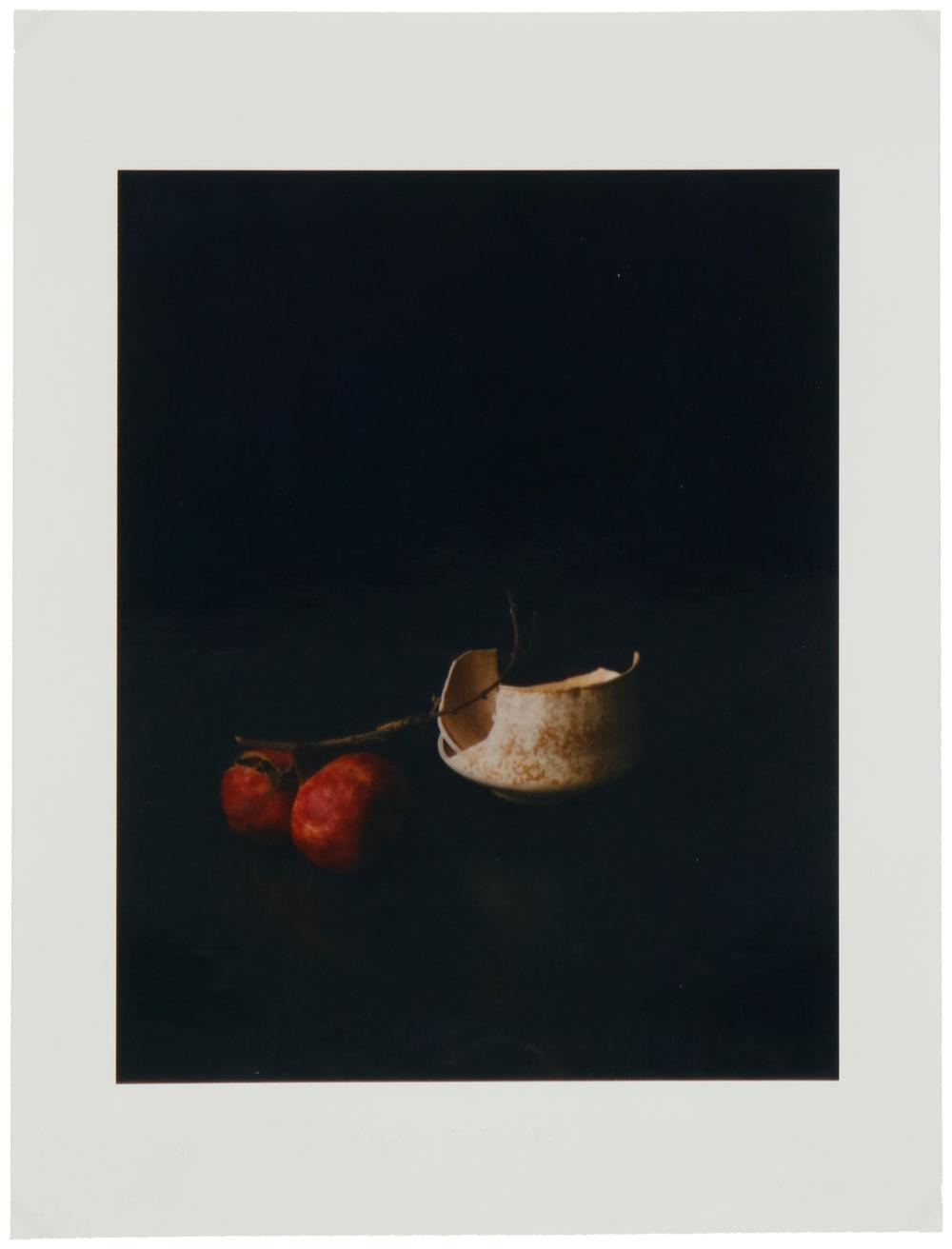 YUTAKA YAMAMOTO, (B. 1974), "NATURE