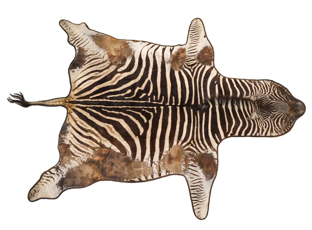 ZEBRA HIDE RUG TRIMMED IN