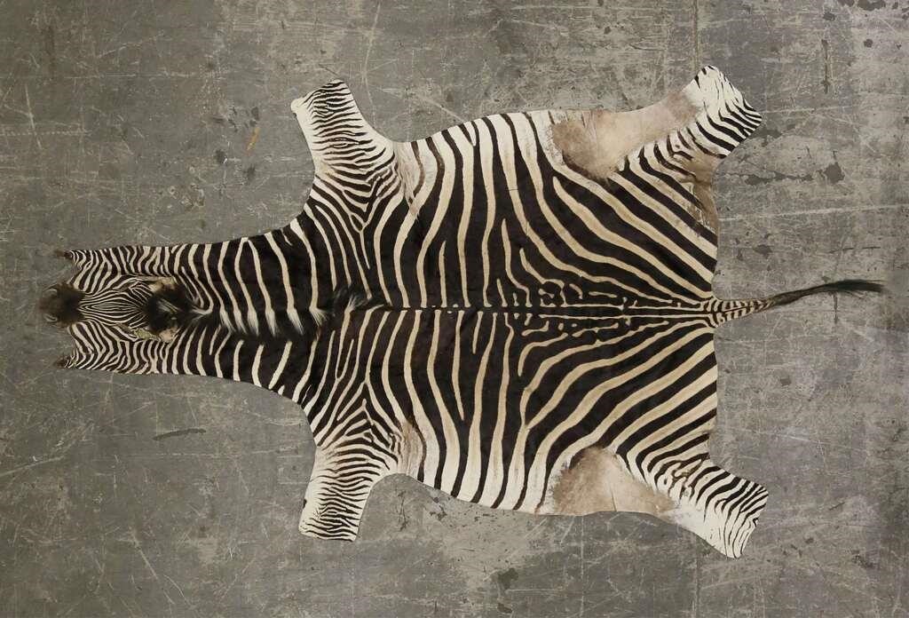 ZEBRA HIDE RUGZebra hide rug.