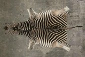 ZEBRA HIDE RUGZebra hide rug.