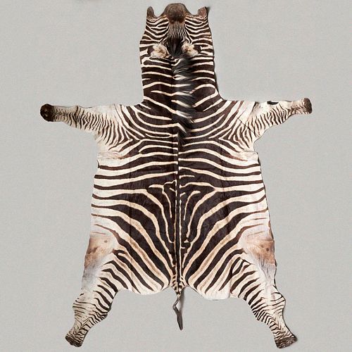 ZEBRA SKIN RUG 9'6" X 4'10"Original