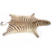 ZEBRA SKIN RUG A zebra skin ru