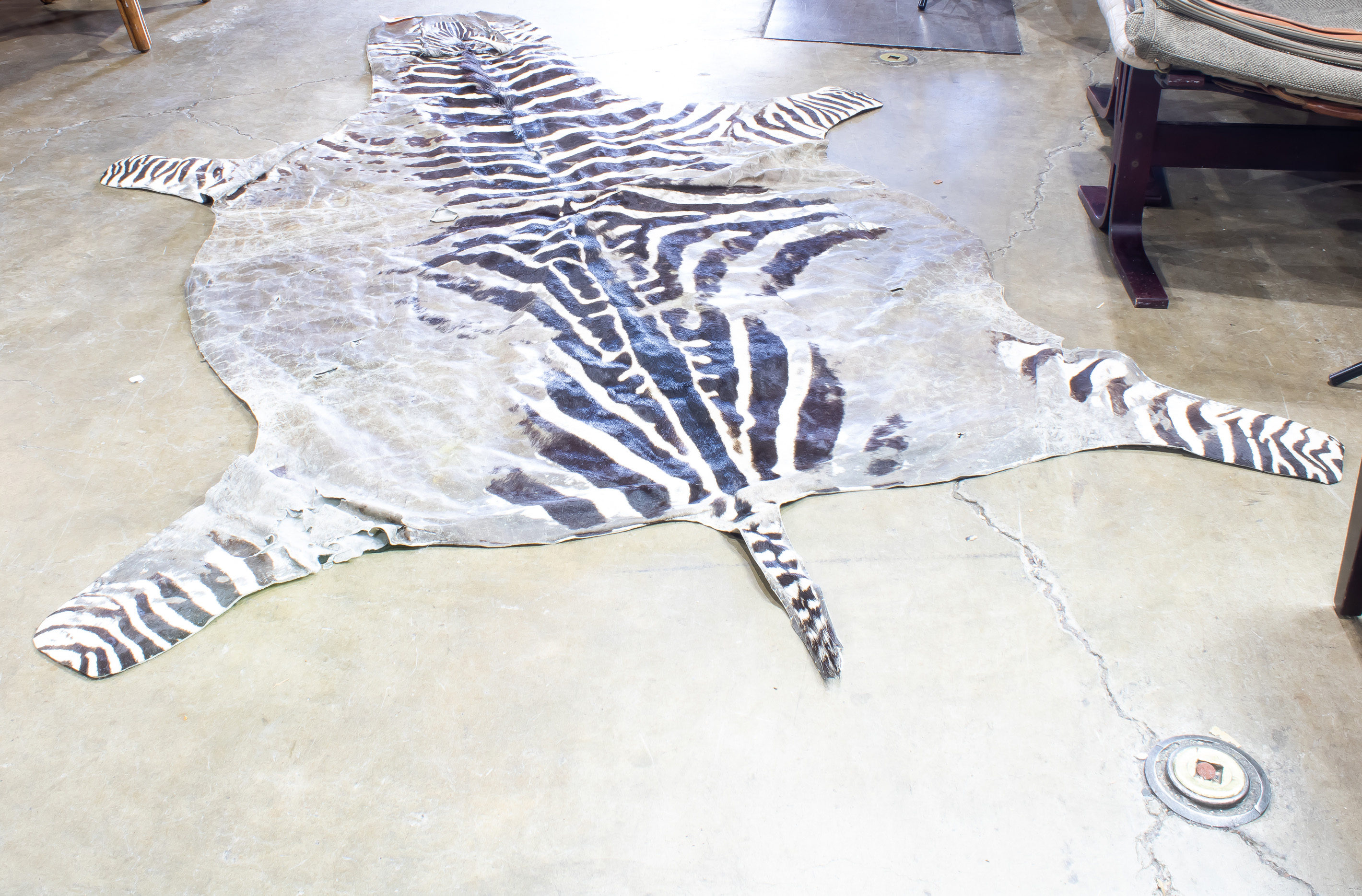 ZEBRA SKIN RUG (WEAR) Zebra skin