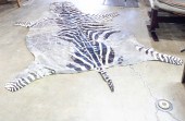 ZEBRA SKIN RUG (WEAR) Zebra sk