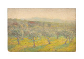 ZENO ALEXANDER, APPLE TREES IN